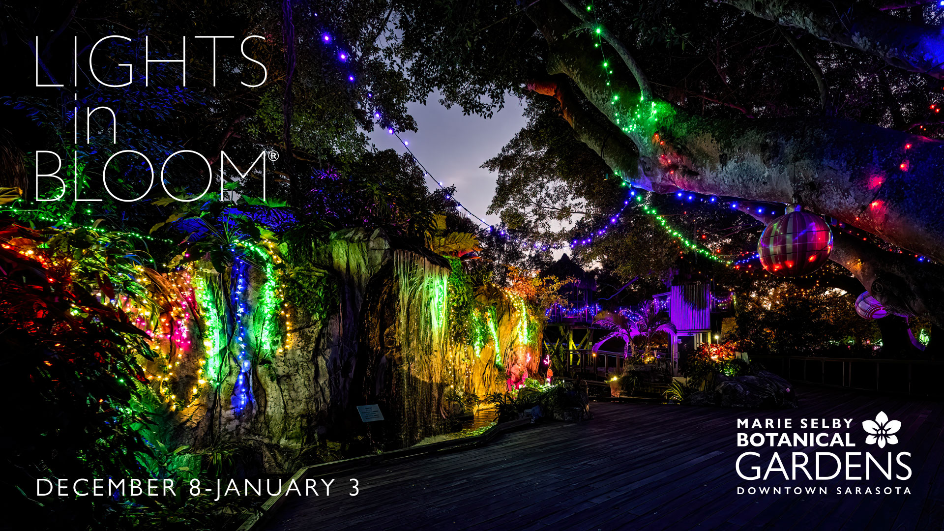 Lights in Bloom®2023 - Marie Selby Botanical Gardens