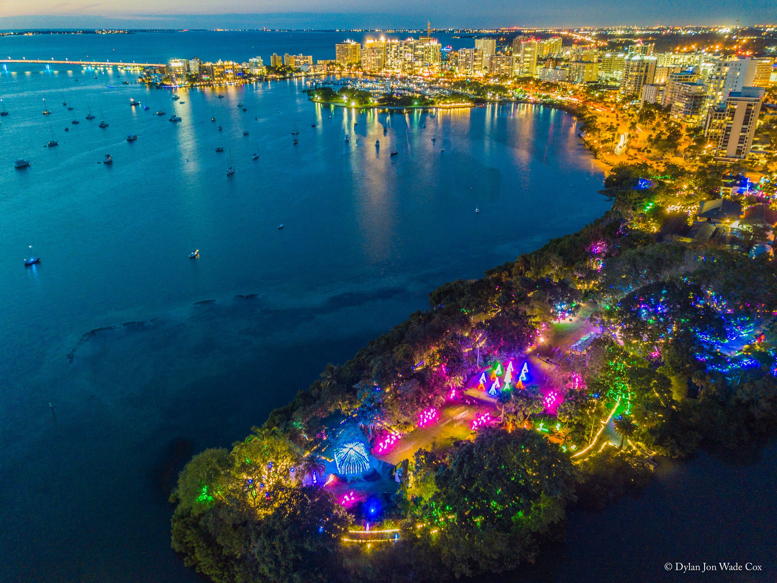 Lights in Bloom® - General Admission - Marie Selby Botanical Gardens