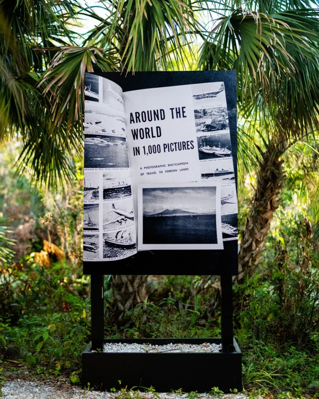 Our Historic Spanish Point campus exhibition “Patti Smith: A Book of Days” takes visitors on a journey through time and space with Smith’s compelling images that chart both the course of a year and the natural environment that surrounds them. “Patti Smith: A Book of Days” is on view now! Visit selby.org to learn more!