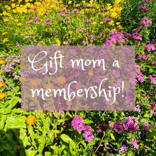 💐 Mother’s Day is around the corner! Treat mom to a gift that lasts all year with a Selby Gardens membership! Enjoy perks like free daytime admission to both campuses and more than 300 botanical gardens in the U.S., discounts on special events, the ability to dine at @thegreenorchidsrq any time, and more! Visit selby.org to gift mom a membership today!
