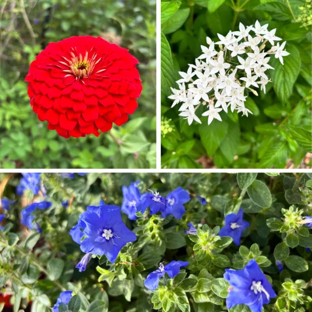 This Memorial Day, we remember those who have served and sacrificed for our country. Our bayfront sanctuaries are open today for their regular hours of 10 a.m. to 5 p.m.