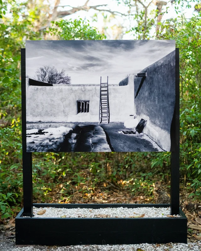 It’s a beautiful day to stroll through our Historic Spanish Point campus and take in the stunning imagery of Selby Gardens Artist-in-Residence Patti Smith! “Patti Smith: A Book of Days” is on view now! Visit selby.org to learn more!