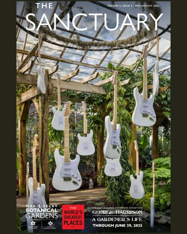 The Summer issue of The Sanctuary just dropped! Learn more about our George Harrison exhibition (closing June 29!) as well as the spectacular visit from Olivia Harrison and Artist-in-Residence Patti Smith; Phase Two of the Master Plan for our Downtown Sarasota campus; and our upcoming exhibition “High Life: Contemporary Photography and the Birds” - opening July 19! 
 
Read the digital version here: https://s33944.pcdn.co/wp-content/uploads/The-Sanctuary-Summer-2025-1.pdf