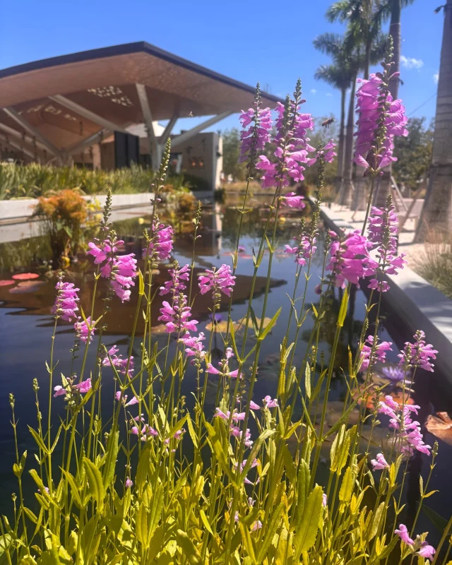 School's out! Make Selby Gardens your summertime happy place. 💚