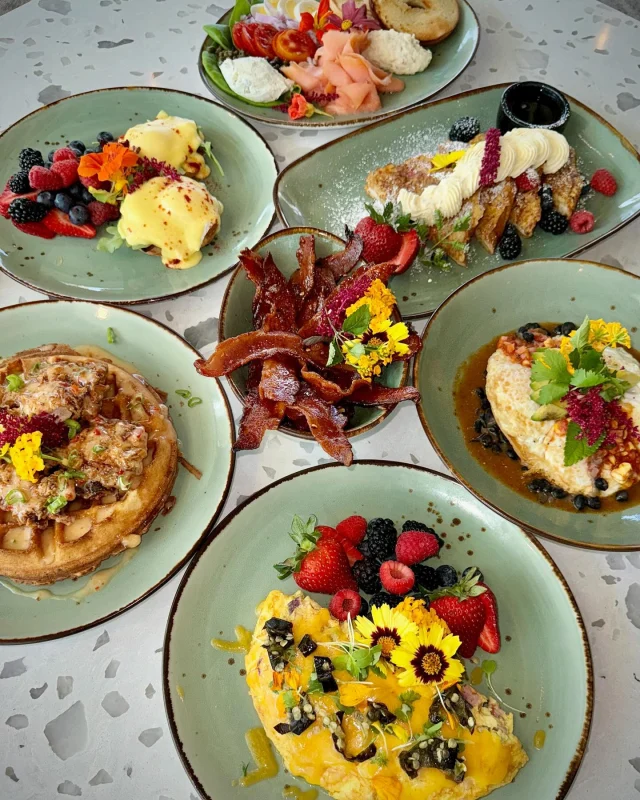 @thegreenorchidsrq is the perfect weekend brunch spot! From our rooftop garden to your table, there's a fresh selection of global-inspired food and botanical-themed cocktails and mocktails for everyone to enjoy! 

The Green Orchid is open from 11 a.m. to 2 p.m. every day with a brunch menu available on Saturdays and Sundays! Visit selby.org to learn more.