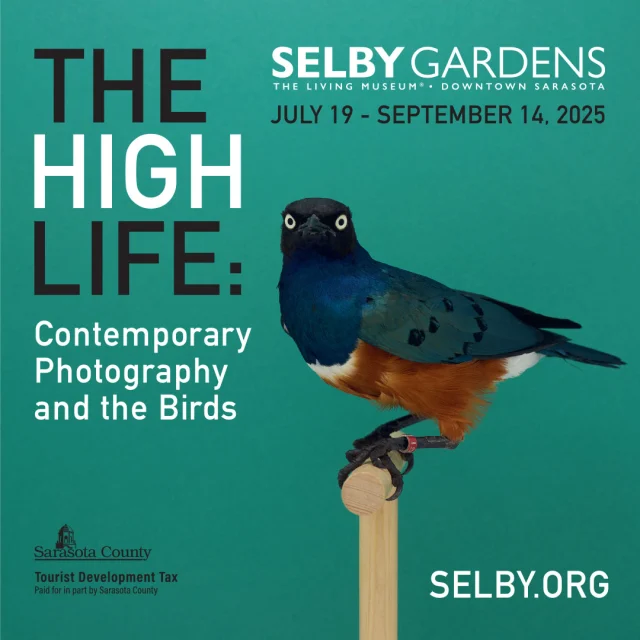 Our Summer Exhibition “The High Life: Contemporary Photography and the Birds” opens Saturday, July 19 (Friday, July 18 for Selby Gardens members)! Organized by the Foundation for the Exhibition of Photography and curated by photography experts William Ewing and Danaé Panchaud, the exhibition will feature some 70 works by more than 50 photographers from around the world. Visit selby.org to learn more!